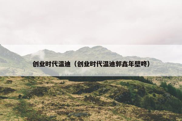 创业时代温迪（创业时代温迪郭鑫年壁咚）