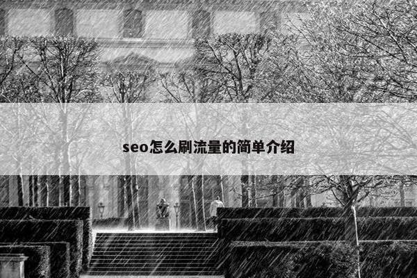 seo怎么刷流量的简单介绍