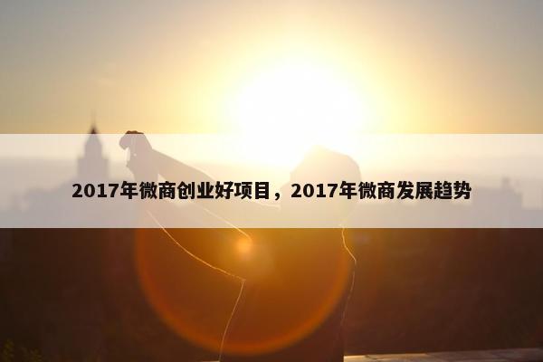 2017年微商创业好项目，2017年微商发展趋势