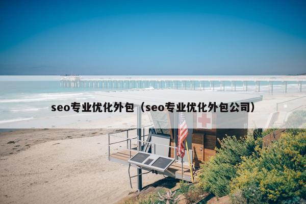 seo专业优化外包（seo专业优化外包公司）