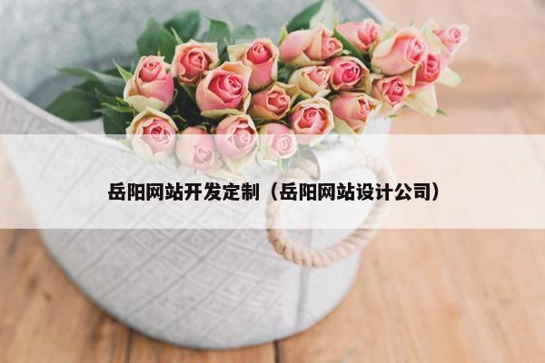 岳阳网站开发定制（岳阳网站设计公司）