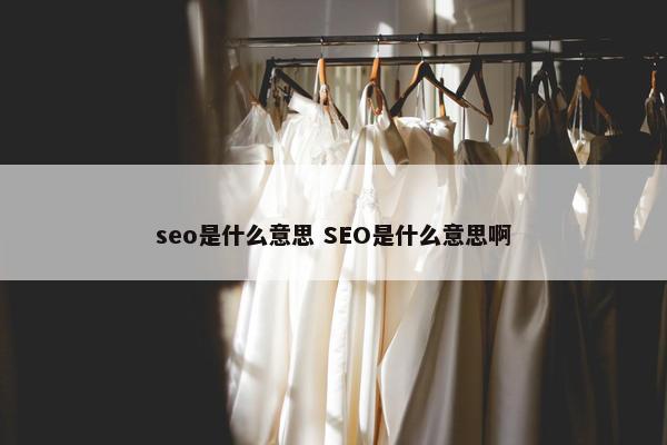 seo是什么意思 SEO是什么意思啊