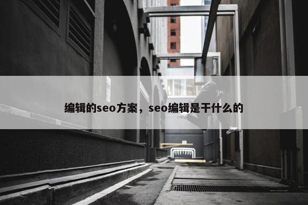 编辑的seo方案，seo编辑是干什么的