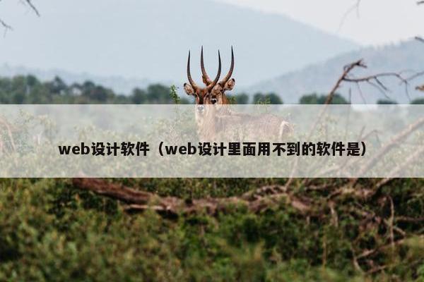 web设计软件（web设计里面用不到的软件是）