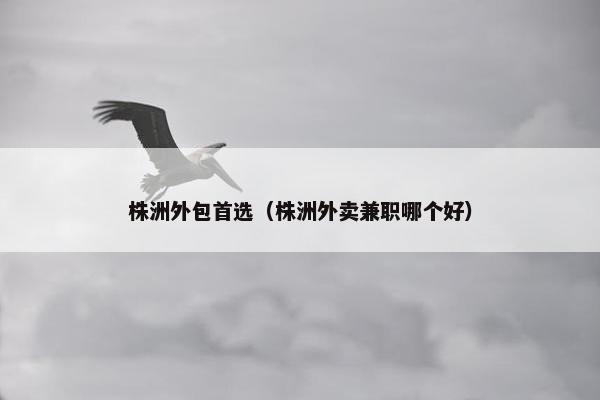 株洲外包首选（株洲外卖兼职哪个好）