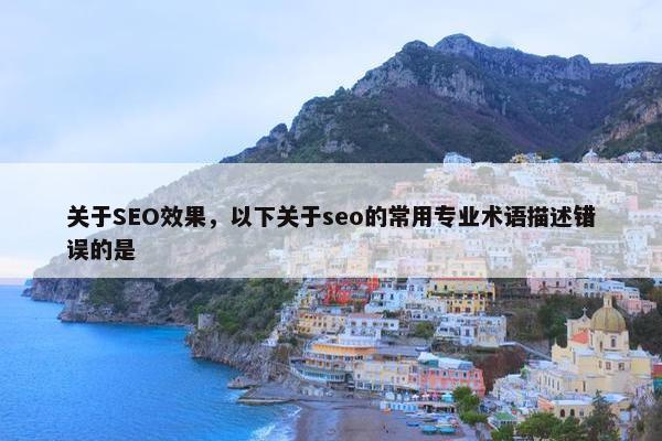 关于SEO效果，以下关于seo的常用专业术语描述错误的是