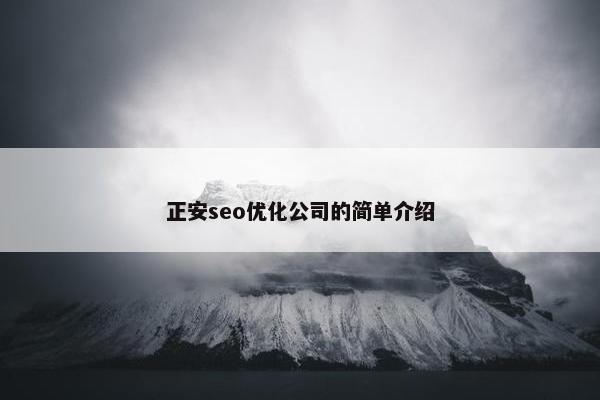 正安seo优化公司的简单介绍