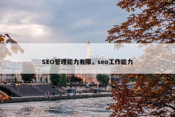 SEO管理能力有限，seo工作能力