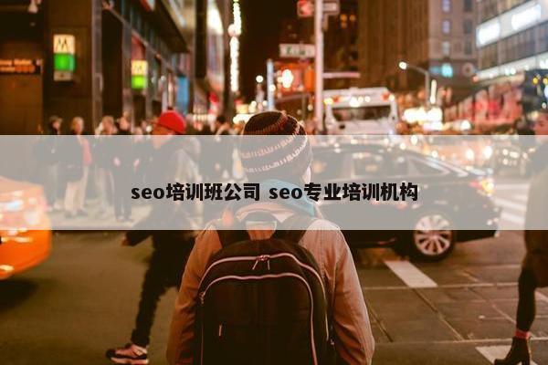 seo培训班公司 seo专业培训机构