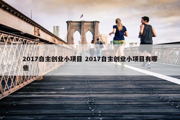 2017自主创业小项目 2017自主创业小项目有哪些