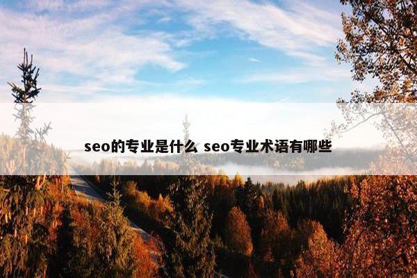 seo的专业是什么 seo专业术语有哪些