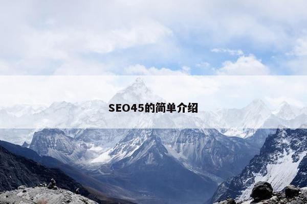 SEO45的简单介绍