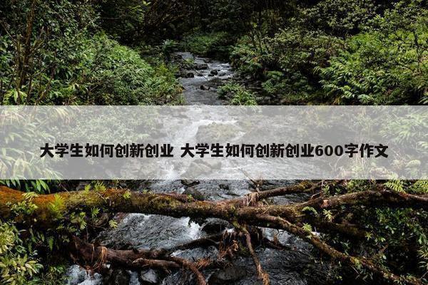 大学生如何创新创业 大学生如何创新创业600字作文