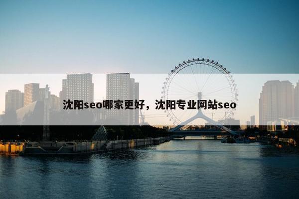 沈阳seo哪家更好，沈阳专业网站seo