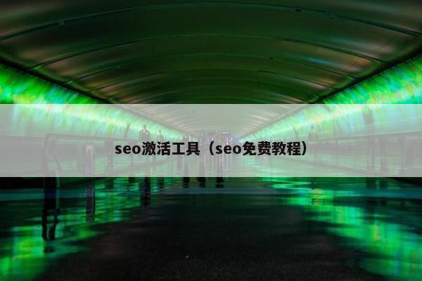 seo激活工具（seo面菲教程）