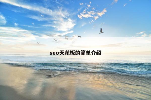 seo天花板的简单介绍