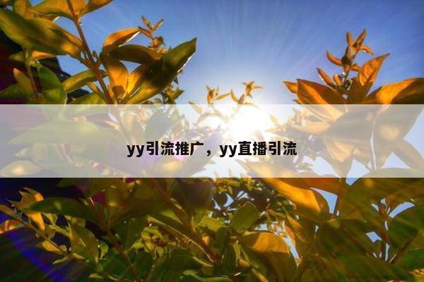 yy引流推广，yy直播引流