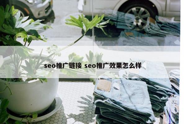 seo推广链接 seo推广效果怎么样