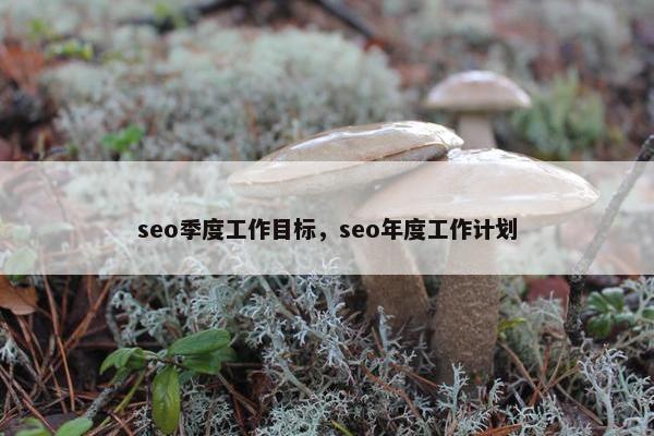 seo季度工作目标，seo年度工作计划