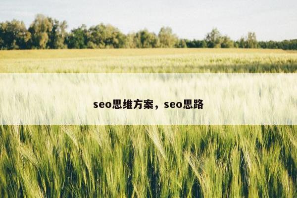 seo思维方案，seo思路