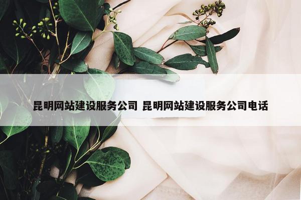 昆明网站建设服务公司 昆明网站建设服务公司电话