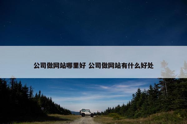 公司做网站哪里好 公司做网站有什么好处