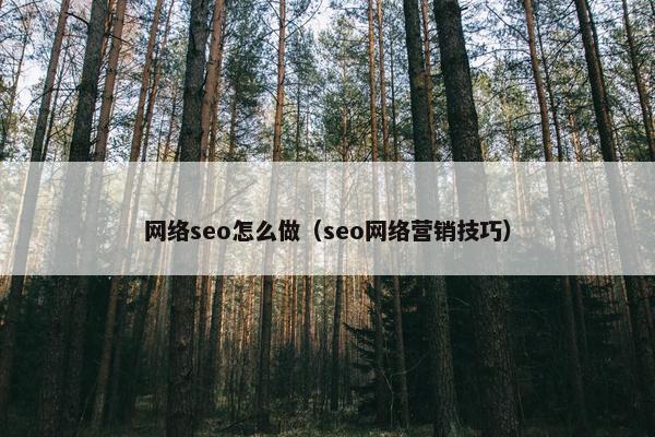 网络seo怎么做（seo网络营销技巧）