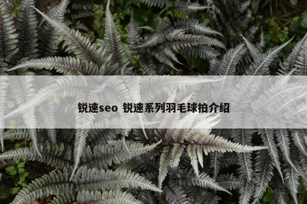 锐速seo 锐速系列羽毛球拍介绍