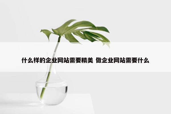 什么样的企业网站需要精美 做企业网站需要什么