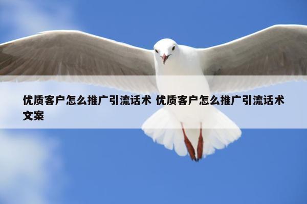 优质客户怎么推广引流话术 优质客户怎么推广引流话术文案