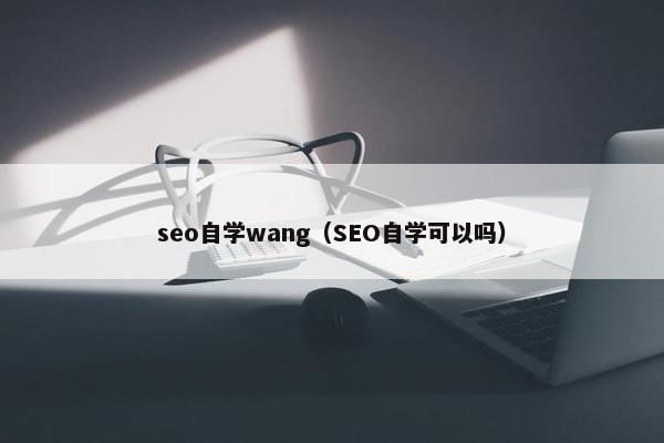 seo自学wang（SEO自学可以吗）