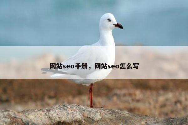 网站seo手册，网站seo怎么写