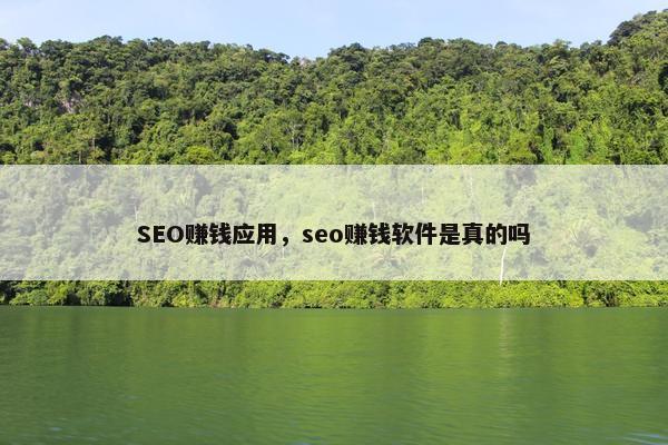 SEO赚钱应用，seo赚钱软件是真的吗