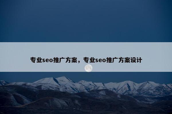 专业seo推广方案，专业seo推广方案设计