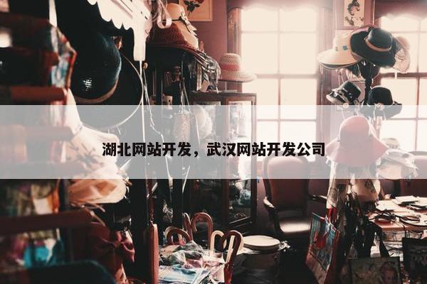 湖北网站开发，武汉网站开发公司