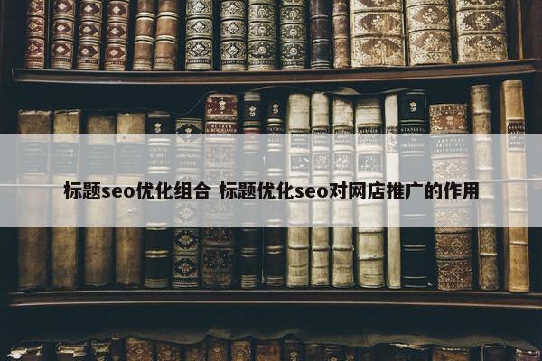 标题seo优化组合 标题优化seo对网店推广的作用