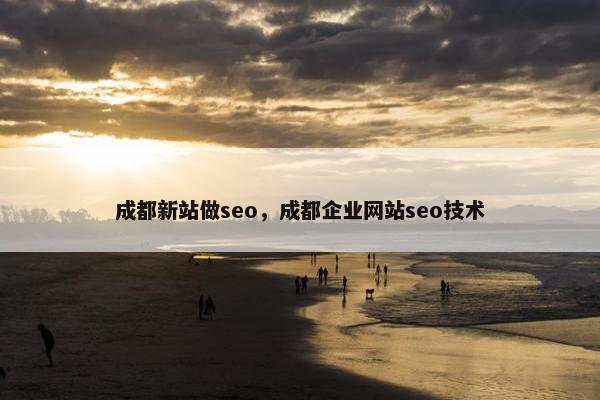 成都新站做seo，成都企业网站seo技术