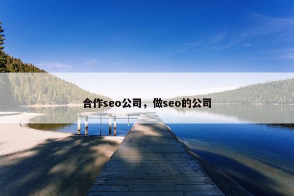 合作seo公司，做seo的公司