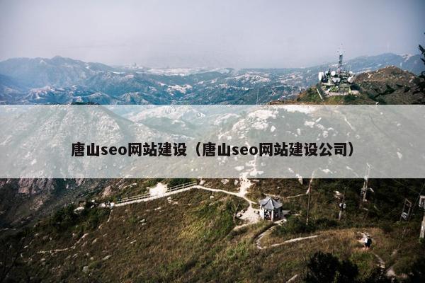 唐山seo网站建设（唐山seo网站建设公司）