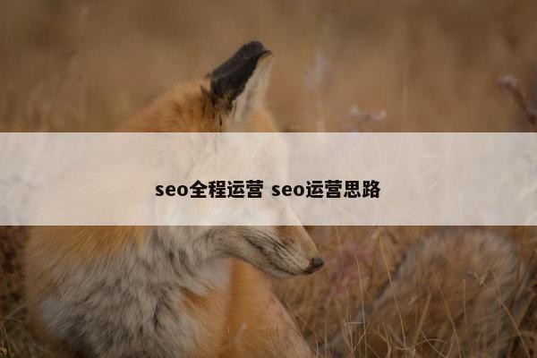 seo全程运营 seo运营思路