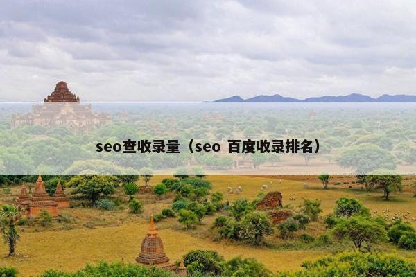 seo查收录量（seo 百度收录排名）