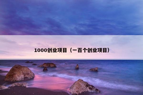 1000创业项目（一百个创业项目）