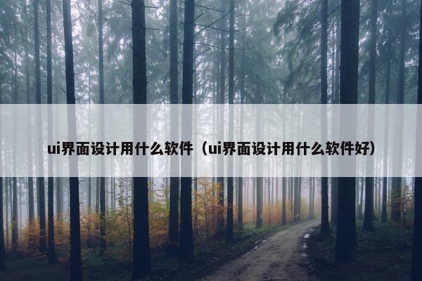 ui界面设计用什么软件（ui界面设计用什么软件好）