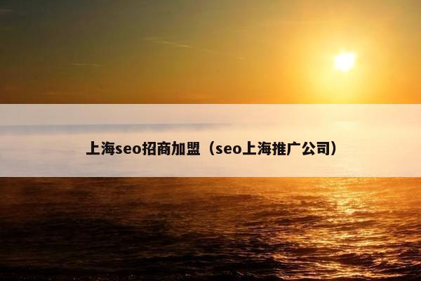 上海seo招商加盟（seo上海推广公司）