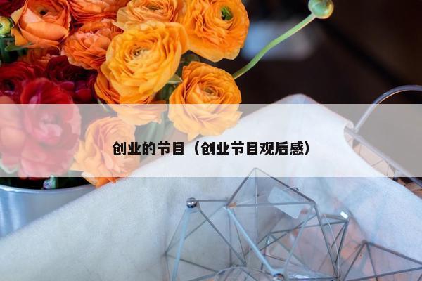 创业的节目（创业节目观后感）