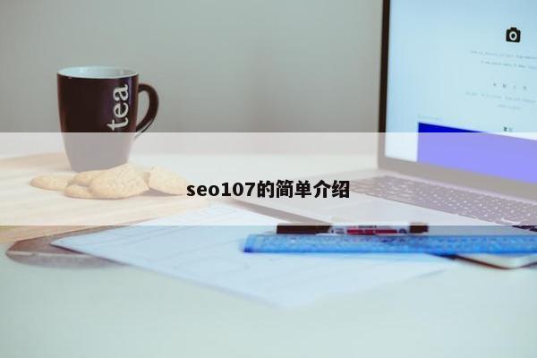 seo107的简单介绍