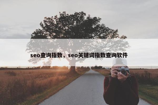 seo查询指数，seo关键词指数查询软件