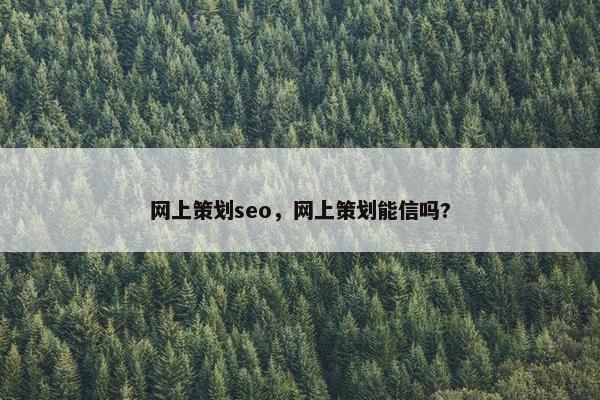 网上策划seo，网上策划能信吗?