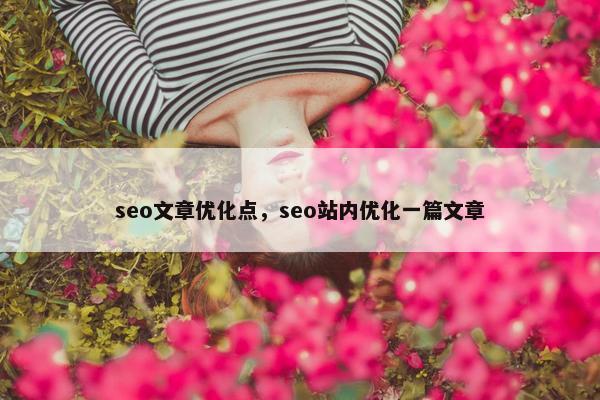 seo文章优化点，seo站内优化一篇文章