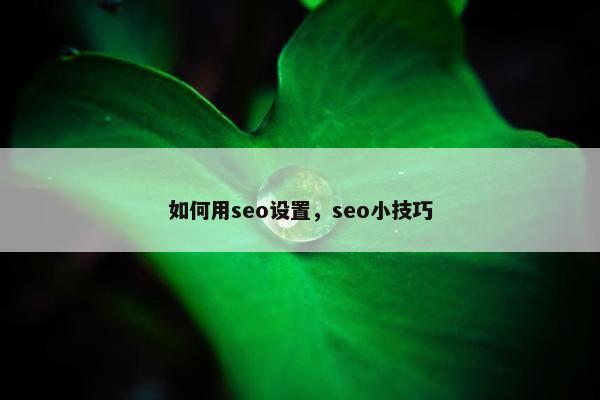 如何用seo设置，seo小技巧